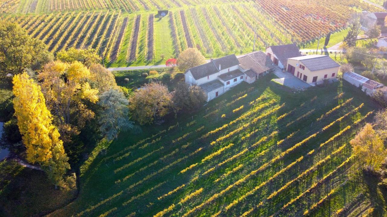 Les Vignes Villa Pomport Dış mekan fotoğraf
