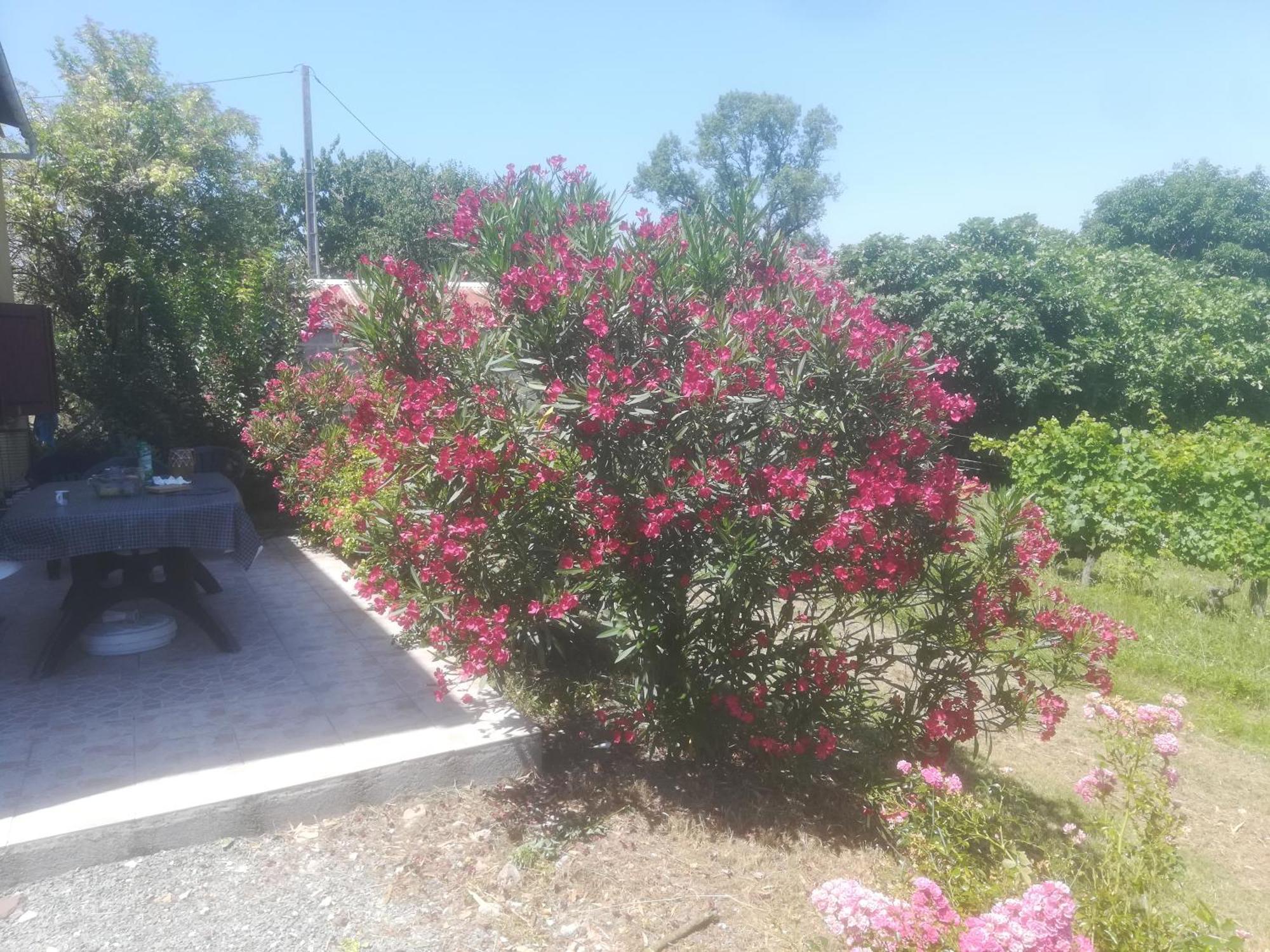 Les Vignes Villa Pomport Dış mekan fotoğraf