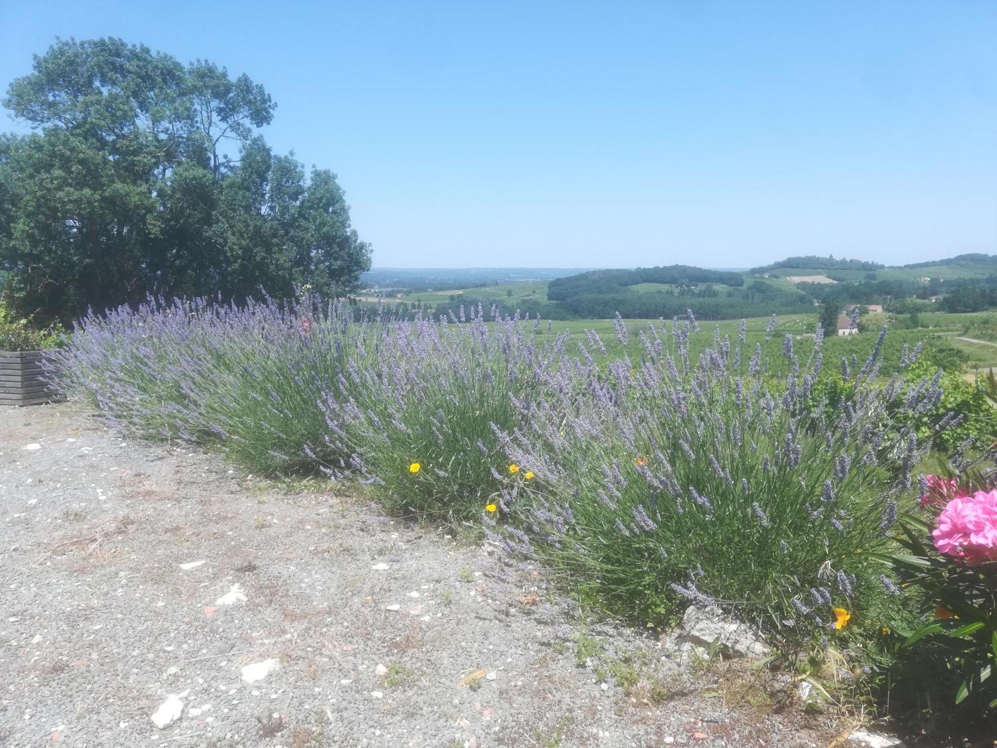 Les Vignes Villa Pomport Dış mekan fotoğraf