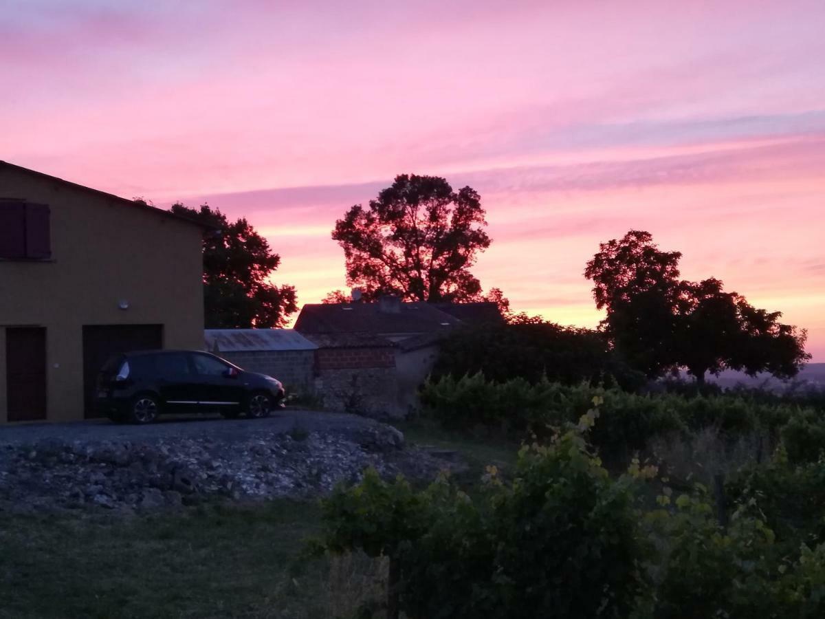 Les Vignes Villa Pomport Dış mekan fotoğraf